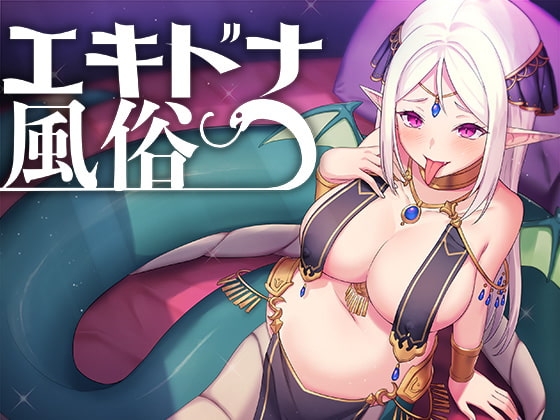 エキドナ風俗 の表紙
