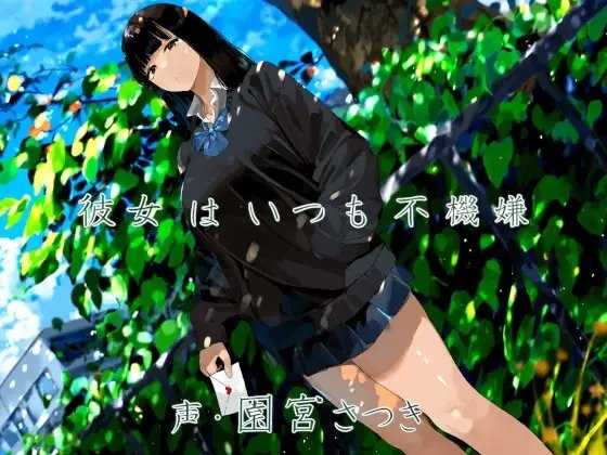彼女はいつも不機嫌 の表紙