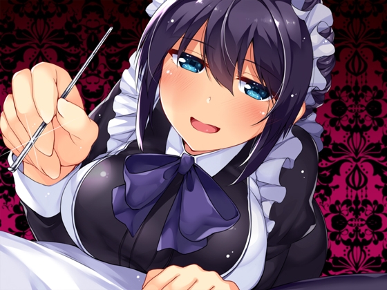 【必然】クール妻メイドのお仕置きご奉仕～本当は怖い耳かきプレイ 健全版 の表紙