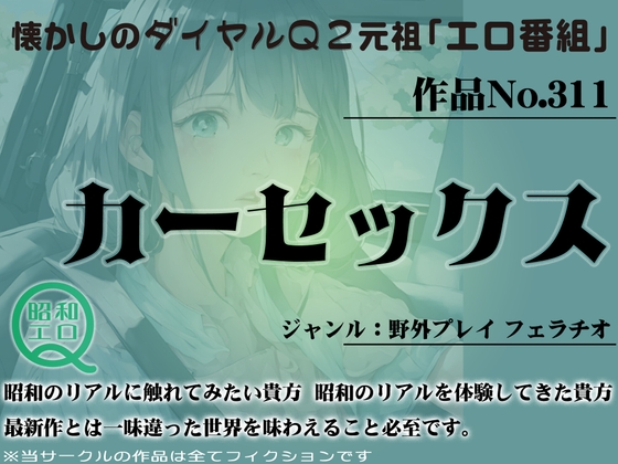 作品No.311 カーセックス の表紙