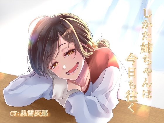 しかた姉ちゃんは今日も往く の表紙