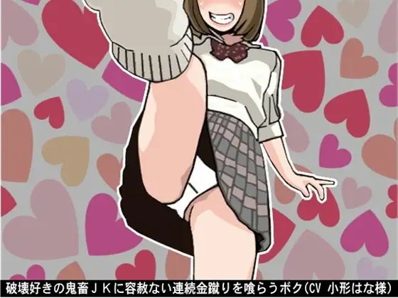 破壊好きの鬼畜JKに容赦ない連続金蹴りを喰らうボク(CV 小形はな様) の表紙