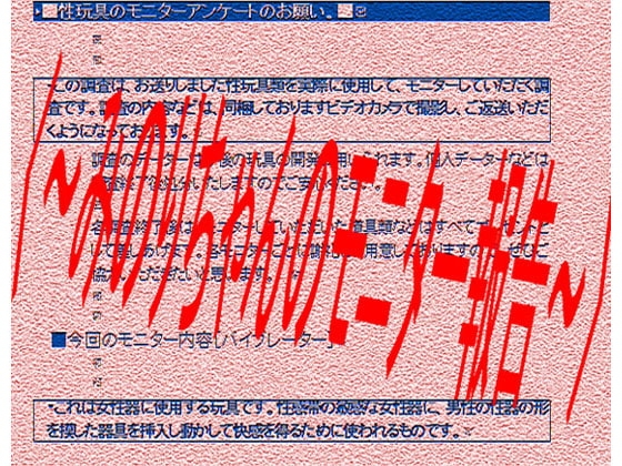 〈～みのりちゃんのモニター報告～〉 の表紙