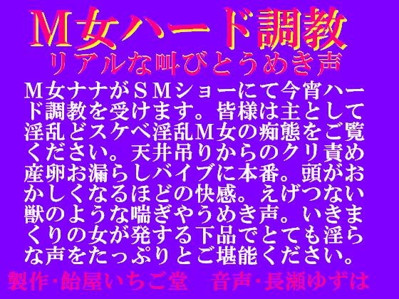 M女ハード調教・リアルな叫びとうめき声mp3版 の表紙
