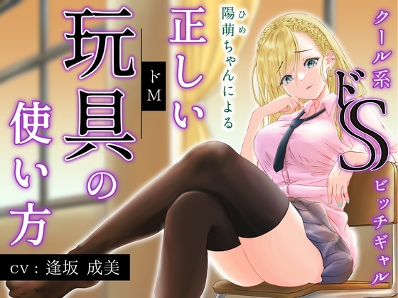 クール系ドSビッチギャル陽萌ちゃんによる正しい玩具(ドM)の使い方 の表紙