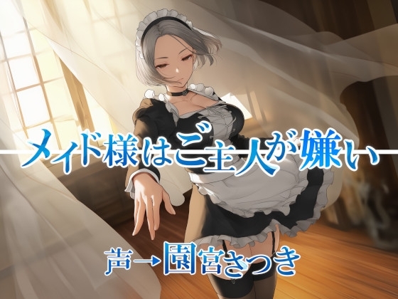 メイド様はご主人が嫌い の表紙