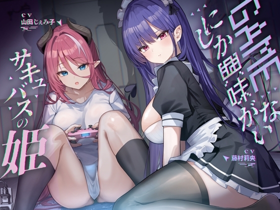 ゲームにしか興味がないサキュバスの姫【KU100】 の表紙