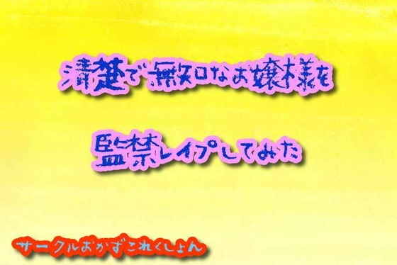 清楚で無知なお嬢様を監禁レ○プしてみた の表紙