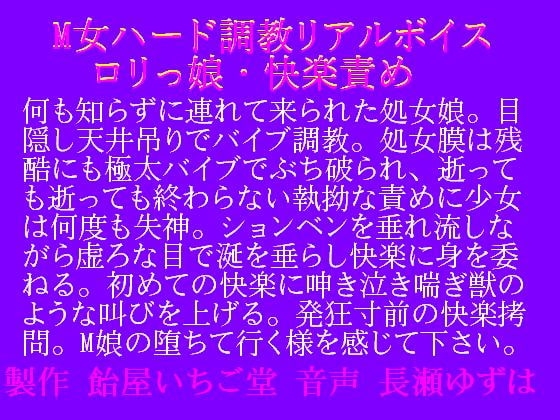 M女ハード調教・リアルボイス・○リっ娘快楽責めwav の表紙