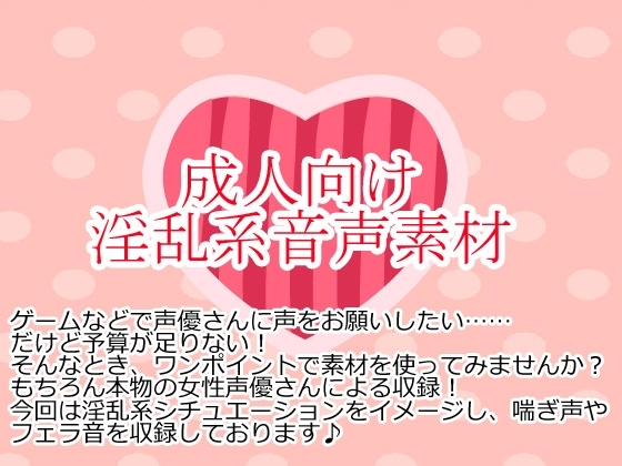 淫乱系音声素材集 の表紙