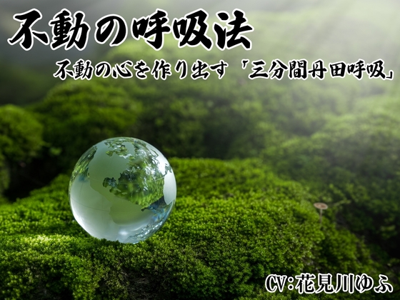 「不動の呼吸法」 -不動の心を養う3分間丹田呼吸法- の表紙