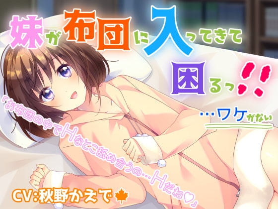 妹が布団に入ってきて困るっ!! …ワケがない の表紙