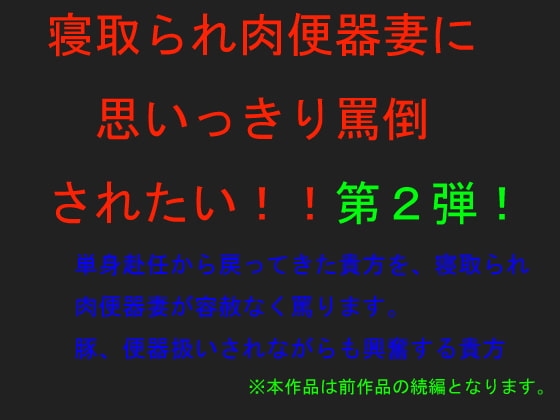 寝取られ肉便器妻に思いっきり罵倒されたい!!～第2弾～ の表紙