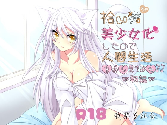拾い猫が美少女化したので人間生活教えてみた～朝編～ R18 の表紙