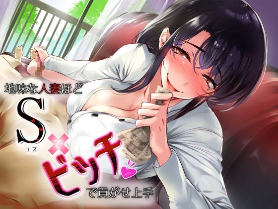 地味な人妻ほどSでビッチで貢がせ上手 の表紙