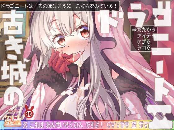 勇者のチンチン焼きステーキが食べたいなぁ～♪ 古き城のドラゴニート2♪♪ の表紙