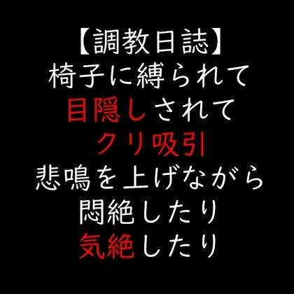 椅子に縛られて目隠しされてクリ吸引 悲鳴を上げながら悶絶したり気絶したり の表紙