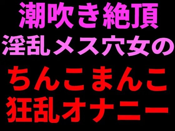 潮吹き絶頂 淫乱メス穴女のちんこまんこ狂乱オナニー の表紙