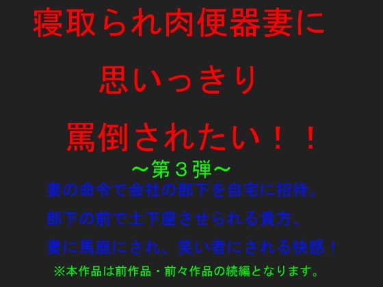 寝取られ肉便器妻に思いっきり罵倒されたい!第3弾 の表紙