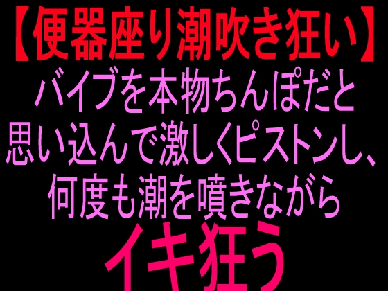 【便所座り潮吹き狂い】バイブを本物ちんぽだと思い込んで激しくピストンし、何度も潮を噴きながらイキ狂う の表紙