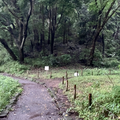 四季の森公園 - 雨05B(HPL2 バイノーラル) の表紙