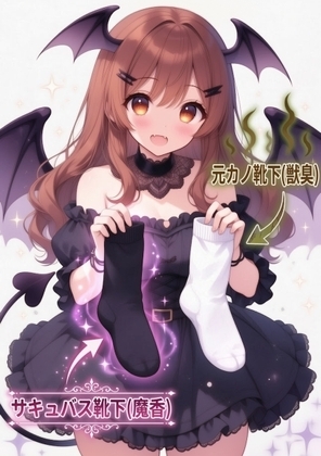 サキュバスの濃厚フェロモン靴下を嗅ぎながら元カノの臭い靴下に中出しぶっかけ の表紙