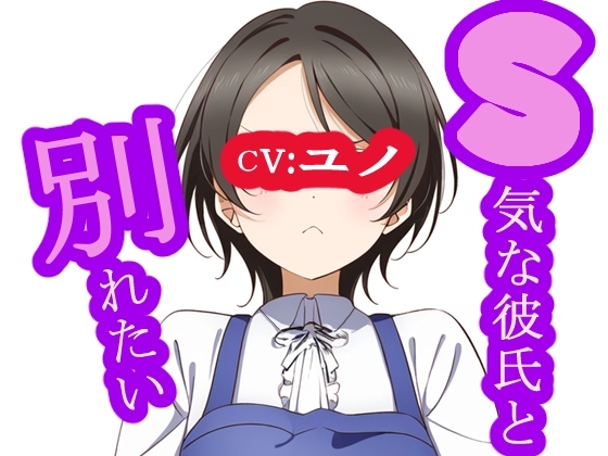 S気な彼氏と別れたい の表紙