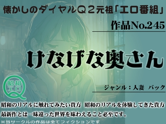 作品No.245 けなげな奥さん の表紙