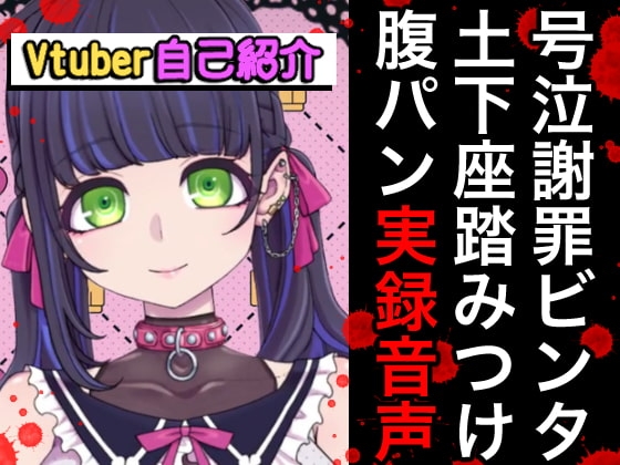 Vtuberボコボコ謝罪腹パン自己紹介裏動画&音声 の表紙