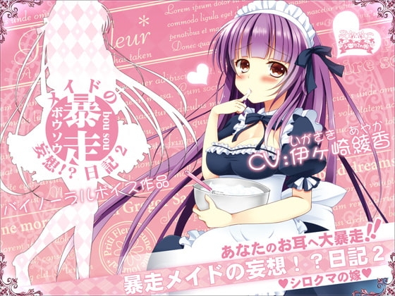 暴走メイドの妄想!?日記2 の表紙