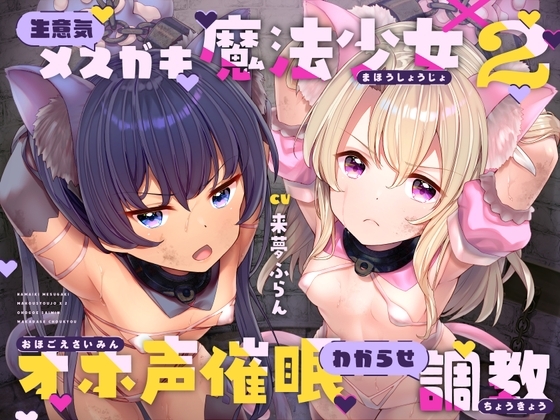 生意気メ○ガキ魔法少女×2オホ声催○わからせ調教 の表紙