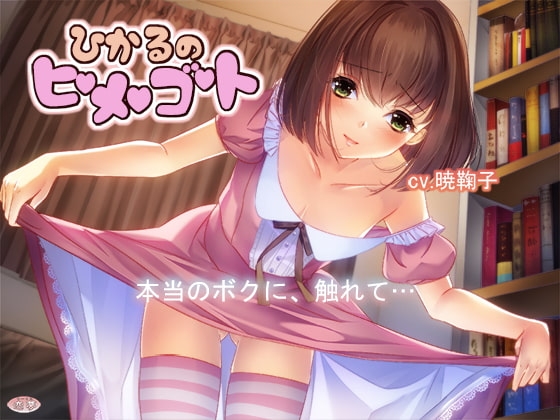 ひかるのヒメゴト の表紙