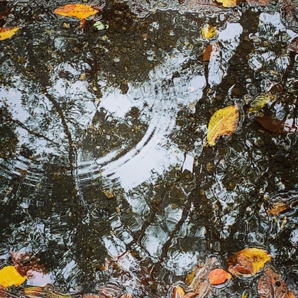 雨粒ドロップス の表紙