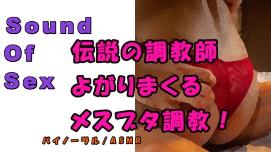 ノンフィクションSEXボイス!実録!ガチムチ熊系調教師が首絞めスパンキング、言葉責めで尻でかメスブタを調教完了! ASMR/バイノーラル/催○音声/M女/凌○☆ の表紙