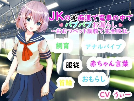 JKの逆痴○で電車の中でバブバブおもらし～おむつペット調教で完全敗北～ の表紙