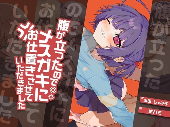 【H×H×H×H×H】腹が立ったのでメ○ガキにお仕置きさせていただきました の表紙