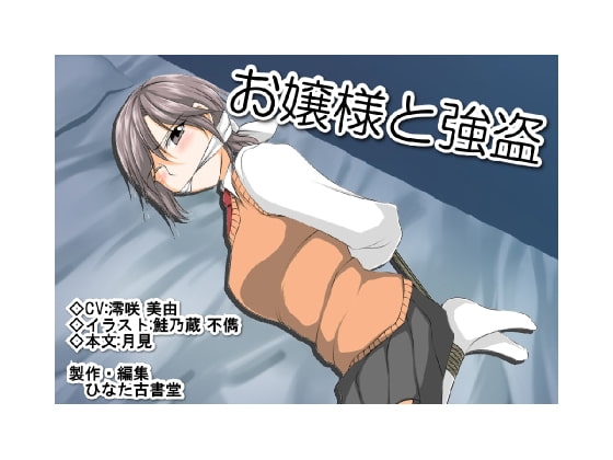 お嬢様と強盗 の表紙