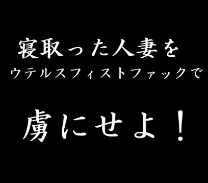寝取った人妻をウテルスフィストファックで虜にせよ! の表紙