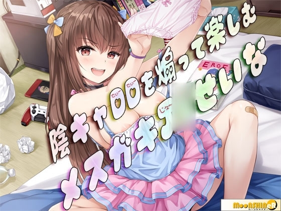陰キャDDを煽って楽しむメ○ガキJ〇せいな の表紙