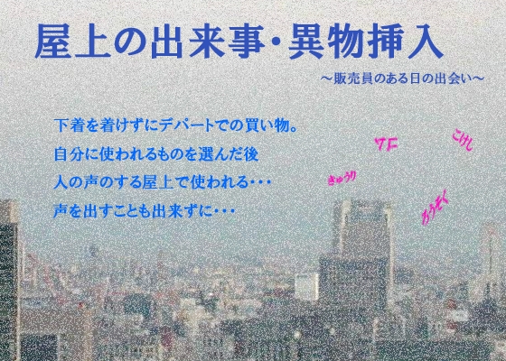 屋上の出来事・異物挿入 の表紙