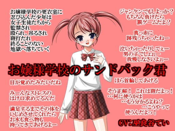 お嬢様学校のサンドバック君 の表紙