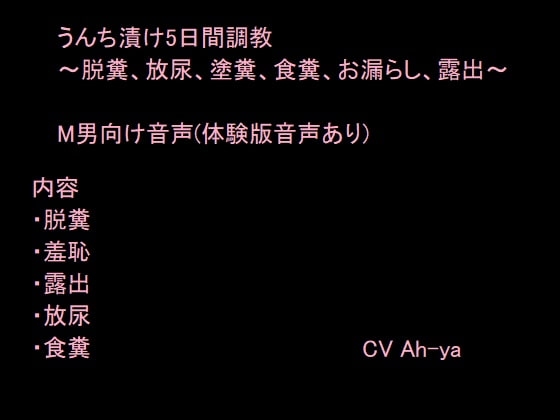 うんち漬け5日間調教 の表紙