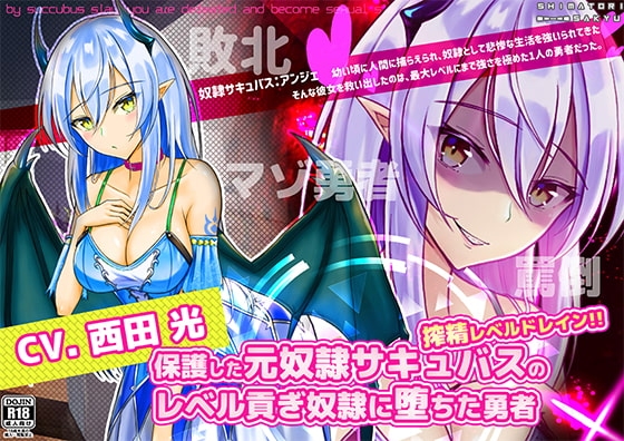 保護した元奴○サキュバスのレベル貢ぎ奴○に堕ちた勇者【マゾ向け音声】 の表紙