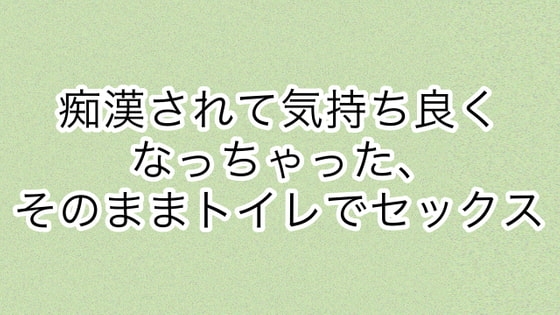 痴○されて気持ちよくなっちゃった、そのままトイレでセックス の表紙