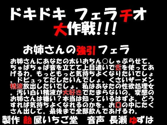 ドキドキフェラチオ大作戦!!!お姉さんの強引フェラ の表紙
