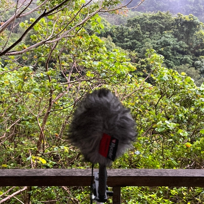 雨 - 久米島・白瀬川 07:49am の表紙