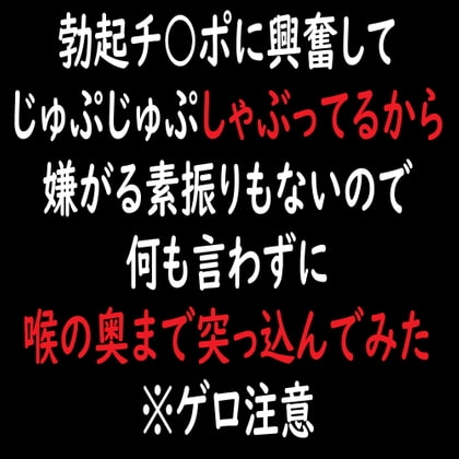 勃起チ○ポに興奮してじゅぷじゅぷしゃぶってるから嫌がる素振りもないので何も言わずに喉の奥まで突っ込んでみた※ゲロ注意 の表紙