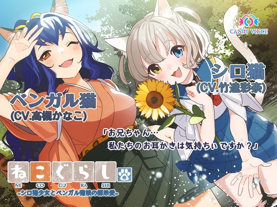 【耳かき・吐息】ねこぐらし。3〜シロ猫少女とベンガル猫娘の師弟愛〜【CV:竹達彩奈、高槻かなこ 】 の表紙