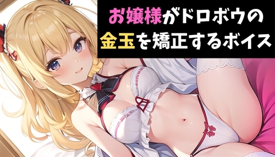お嬢様がドロボウの金玉を矯正するボイス の表紙