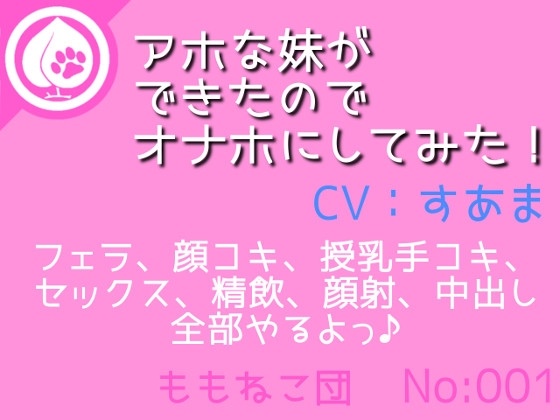 アホな妹ができたのでオナホにしてみた! の表紙